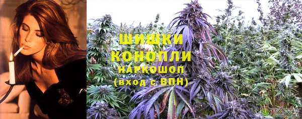 дмт Верея