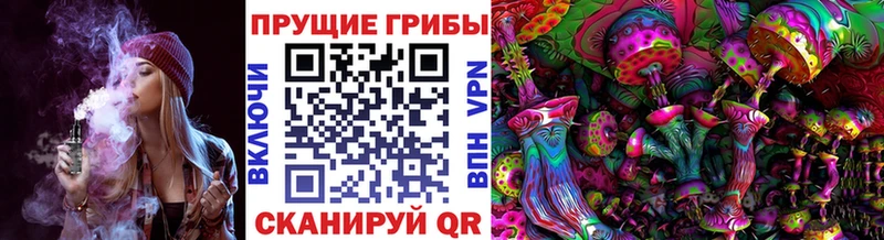 Купить закладки  Адыгейск  Галлюциногенные грибы Magic Shrooms 
